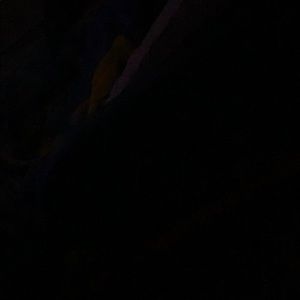 Meet your Posher, Will